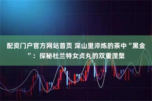 配资门户官方网站首页 深山里淬炼的茶中“黑金”：探秘杜兰特女贞丸的双重涅槃